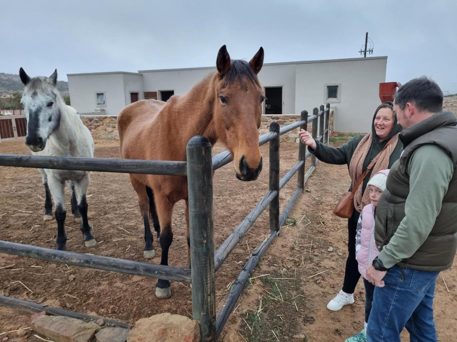 Apartmán Rooilande Guest Farm Laingsburg Exteriér fotografie